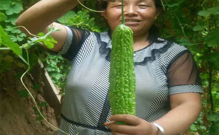 山东省寿光水溶肥生产厂家,精品推荐!-寿光红旗科技有限公司