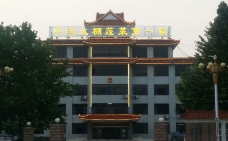 什摸样的有机肥效果好?有机肥可以替代水溶肥吗?-寿光红旗科技有限公司
