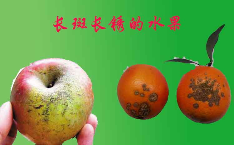 微量元素水溶肥的使用方法你知道吗?-寿光红旗科技有限公司