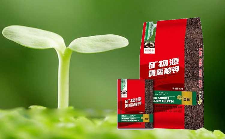 矿物源黄腐酸水溶肥效果怎样?请听专家的解说!-寿光红旗科技有限公司