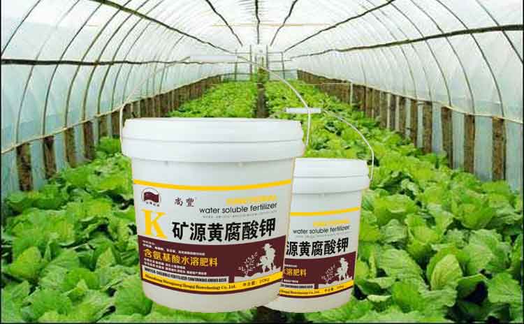 矿物源黄腐酸水溶肥效果怎样?请听专家的解说!-寿光红旗科技有限公司