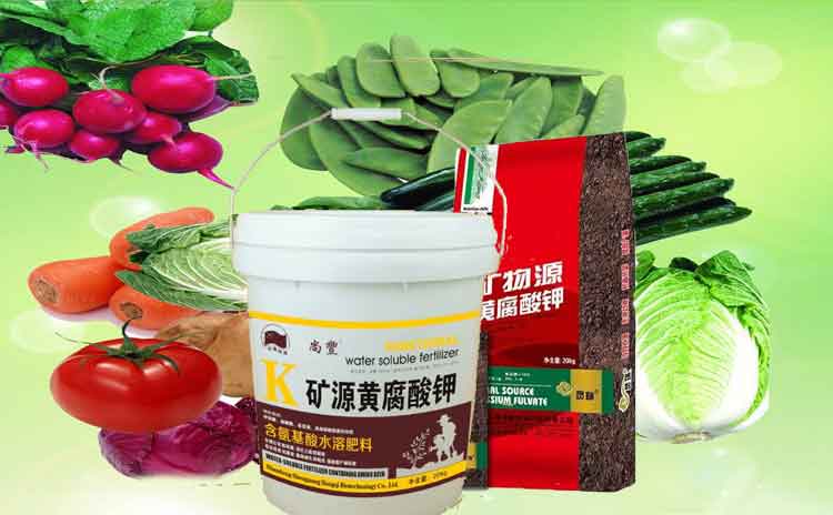 矿物源黄腐酸水溶肥效果怎样?请听专家的解说!-寿光红旗科技有限公司