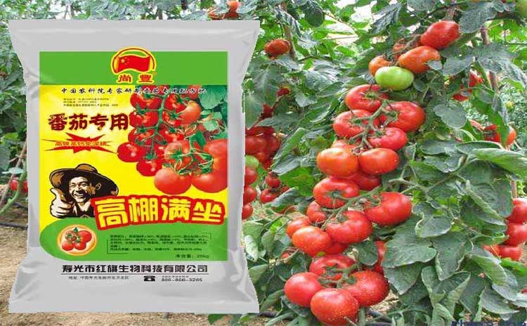 夏季西红柿用什么肥料好?-寿光红旗科技有限公司