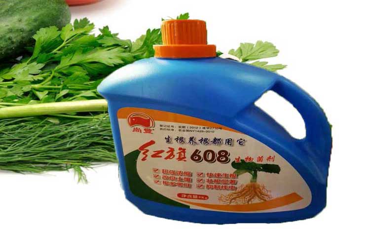 黄瓜喜欢什么样的水溶肥?您知道吗?-寿光红旗科技有限公司