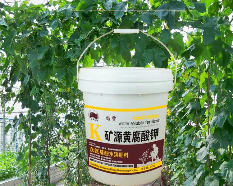 寿光腐殖酸水溶肥效果怎样?-寿光红旗科技有限公司