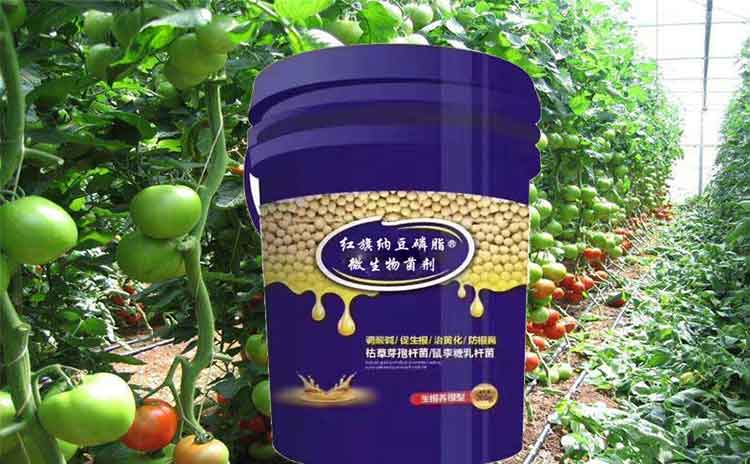 土壤板结酸化用什么水溶肥好?-寿光红旗科技有限公司