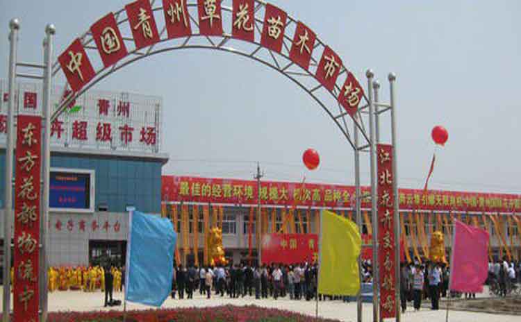 青州花卉用什么水溶肥好?-寿光红旗科技有限公司