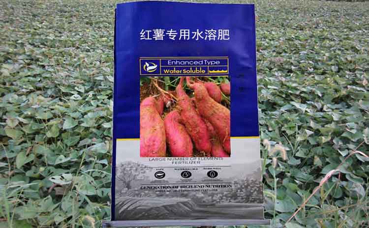 地瓜用什么肥料好?寿光市红旗地瓜专用肥-寿光红旗科技有限公司