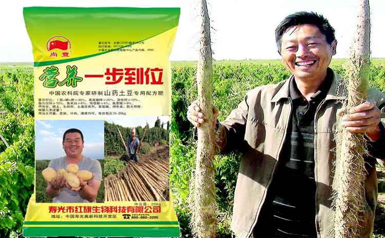 豆地瓜山药用什么水溶肥好?寿光水溶肥厂家为您解析-寿光红旗科技有限公司