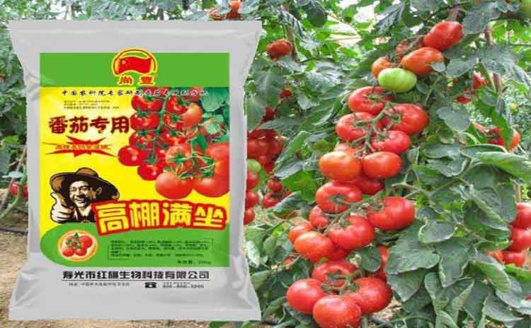西红柿如何防止畸形裂果?请看蔬菜专家的详解!-寿光红旗科技有限公司