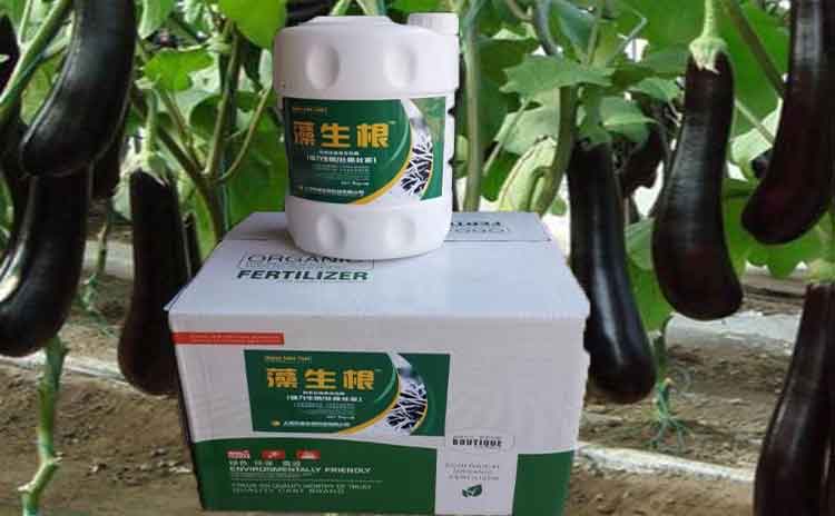 ‘澡生根’生根剂水溶肥产品简介-寿光红旗科技有限公司