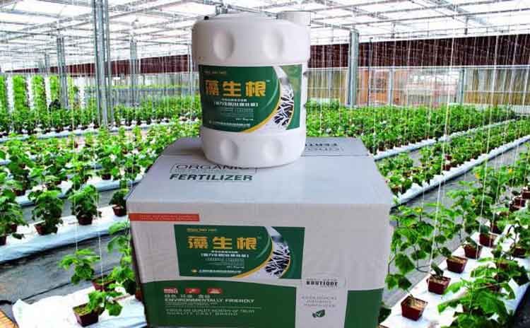 ‘澡生根’生根剂水溶肥产品简介-寿光红旗科技有限公司
