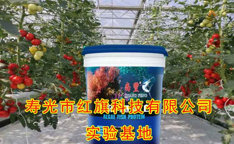 为何推荐经销商销售寿光水溶肥?-寿光红旗科技有限公司
