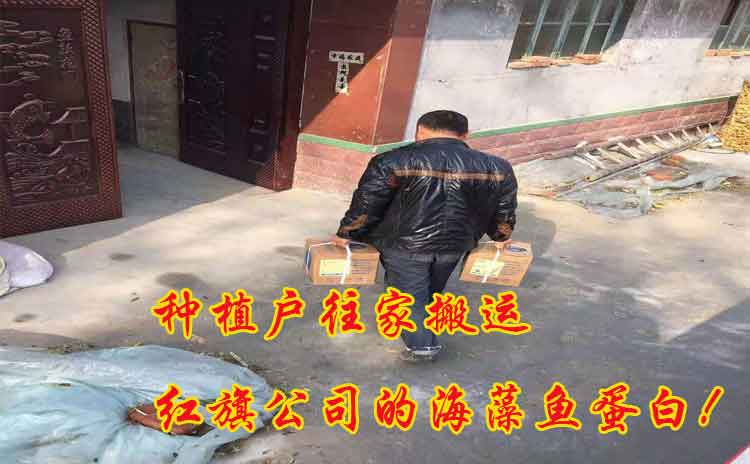 什么是功能型水溶肥?寿光水溶肥厂家为您解答!-寿光红旗科技有限公司