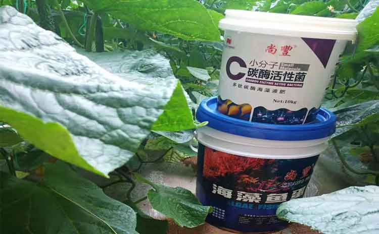 有机水溶肥和农家肥比起来有何优点?-寿光红旗科技有限公司