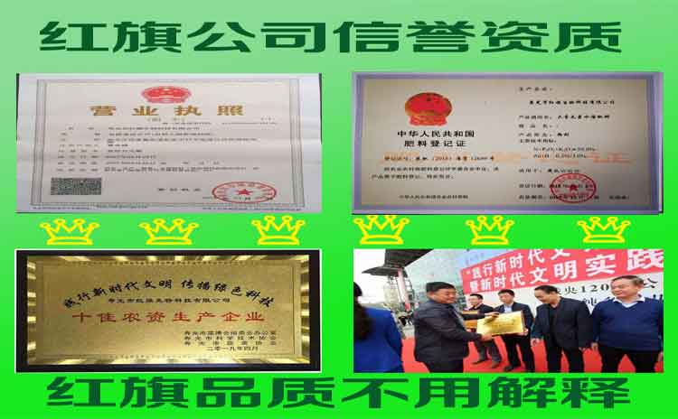 代加工水溶肥生产企业哪家好?寿光肥料生产厂家告诉您!-寿光红旗科技有限公司