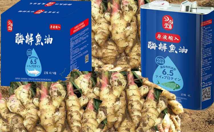 如何判断水溶肥质量?寿光水溶肥生产厂家为您解析!-寿光红旗科技有限公司