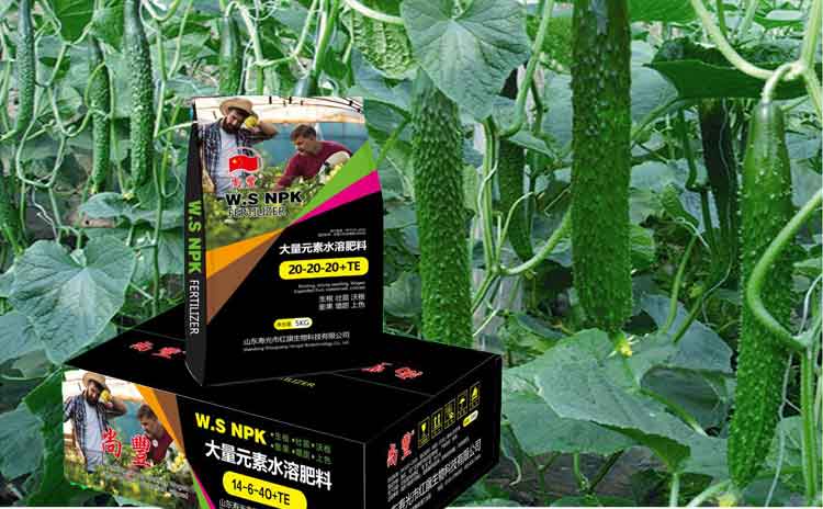 如何判断水溶肥质量?寿光水溶肥生产厂家为您解析!-寿光红旗科技有限公司