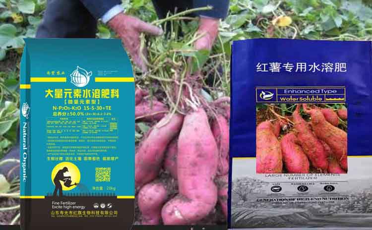 地瓜用什么肥料好?寿光市红旗地瓜专用肥-寿光红旗科技有限公司