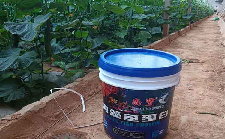 为什末种植户喜欢用寿光水溶肥?寿光水溶肥生产厂家为您解答-寿光红旗科技有限公司