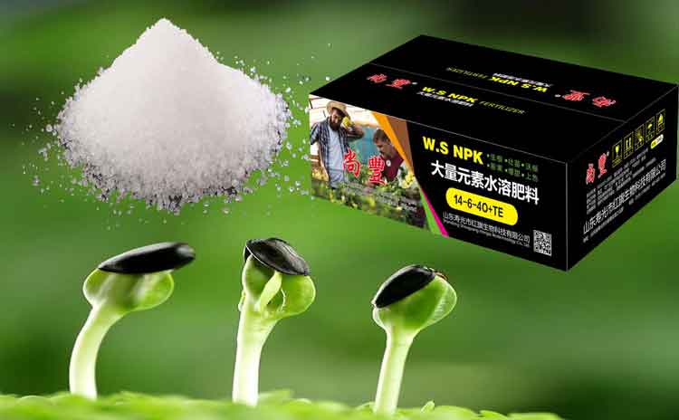 豆地瓜山药用什么水溶肥好?寿光水溶肥厂家为您解析-寿光红旗科技有限公司