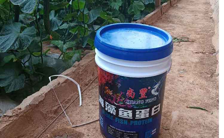 如何选择海藻鱼蛋白产品?鱼蛋白水溶肥厂家为您解析!-寿光红旗科技有限公司