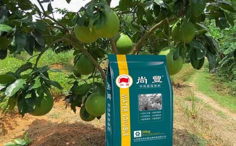 为何专家建议要在九月份使用底肥?果树用肥方法!-寿光红旗科技有限公司