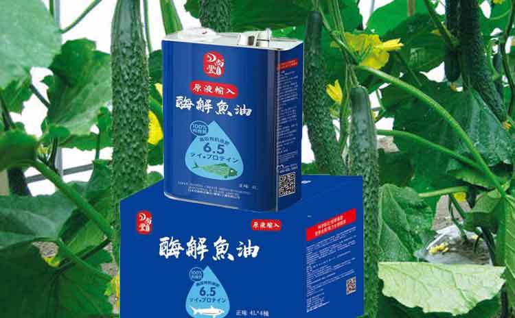 刚定植上的黄瓜冲施什么水溶肥好?如何才能够让黄瓜增产增值?-寿光红旗科技有限公司