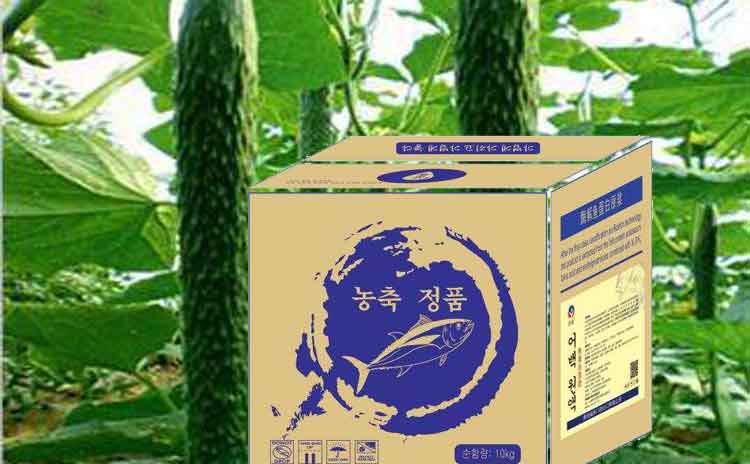 刚定植上的黄瓜冲施什么水溶肥好?如何才能够让黄瓜增产增值?-寿光红旗科技有限公司