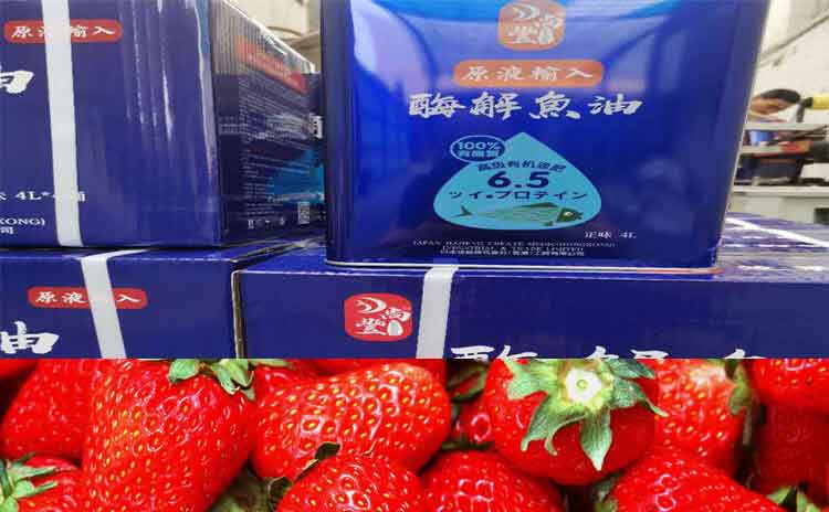 草莓使用什么水溶肥好?草莓如何施肥才能够增产增收?-寿光红旗科技有限公司