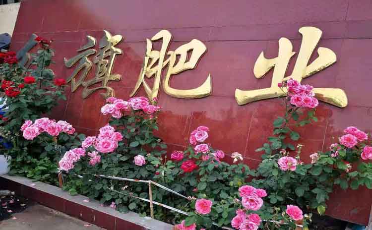 经销商为何需要提前备货?寿光水溶肥厂家告诉您真相!-寿光红旗科技有限公司