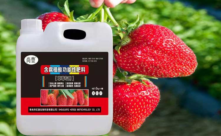 草莓专用肥-寿光红旗科技有限公司