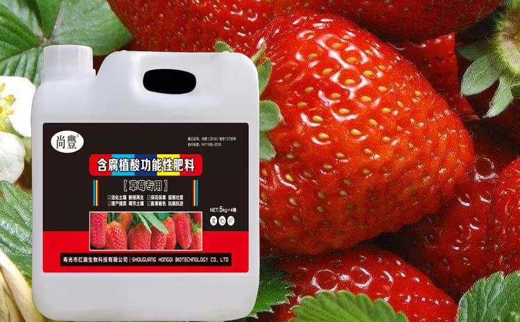草莓专用肥-寿光红旗科技有限公司